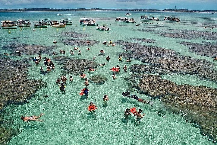 praias de maceio maragogi
