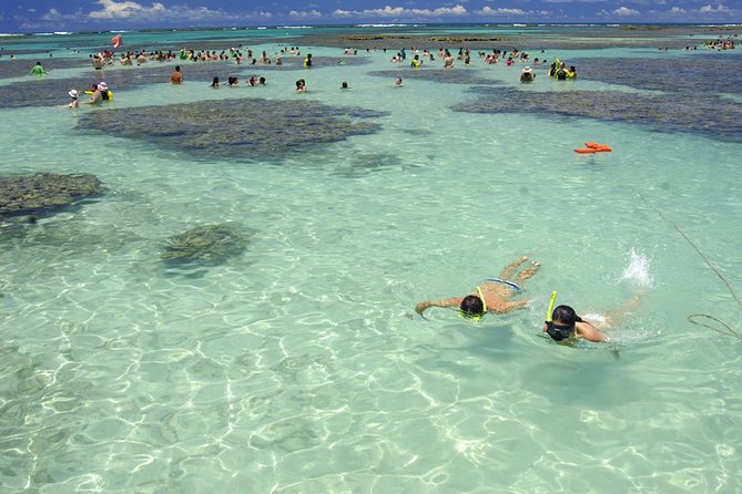 Maceió vs. Maragogi: Qual Destino Escolher para Suas Férias em Alagoas?