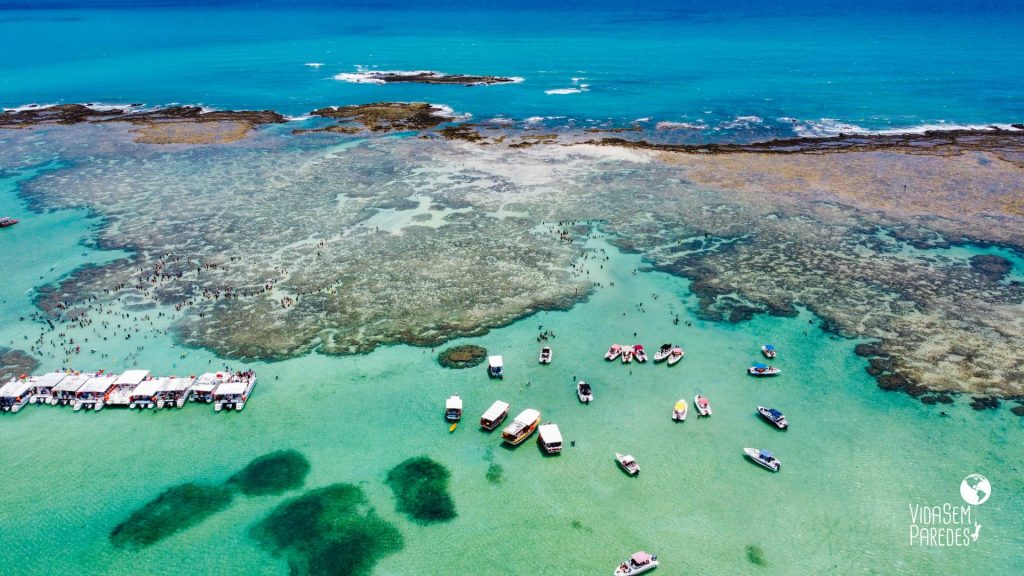 praias de maceio maragogi