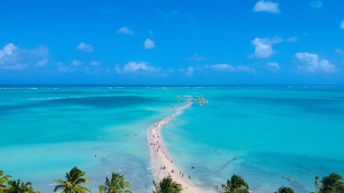 Guia Completo: Como Consultar a Tábua de Marés para Piscinas Naturais em Alagoas