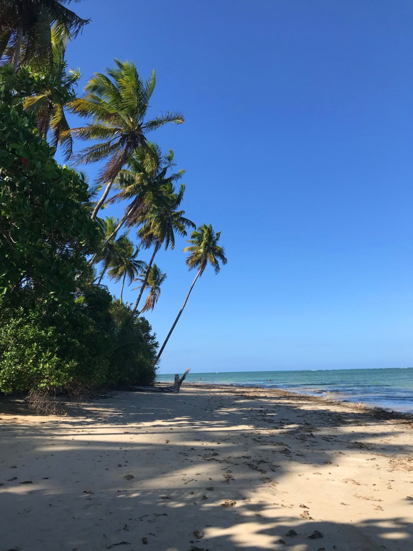 praias do sul da bahia