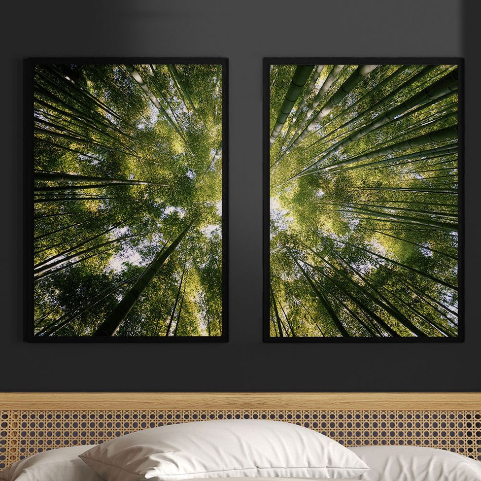 Quadros de Paisagens: Amplitude e Tranquilidade para seu Espaço