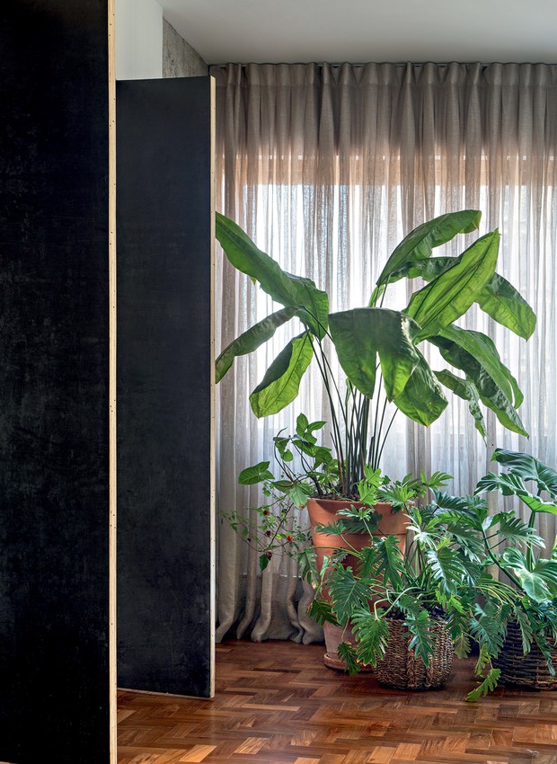 Cores de Parede que Realçam a Beleza do Piso de Taco