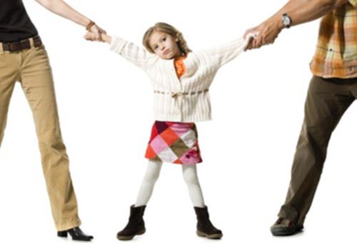 Prevenção e Tratamento da Alienação Parental: Um Guia para Pais e Profissionais