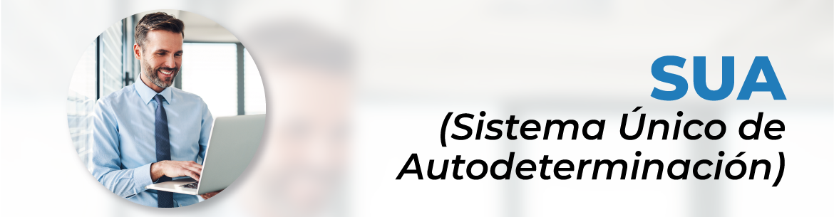 Google Fotos vs. iCloud: Qual o Melhor para Armazenar Suas Memórias?