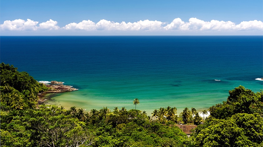 Abrolhos: Mergulho e Baleias-Jubarte no Extremo Sul Baiano