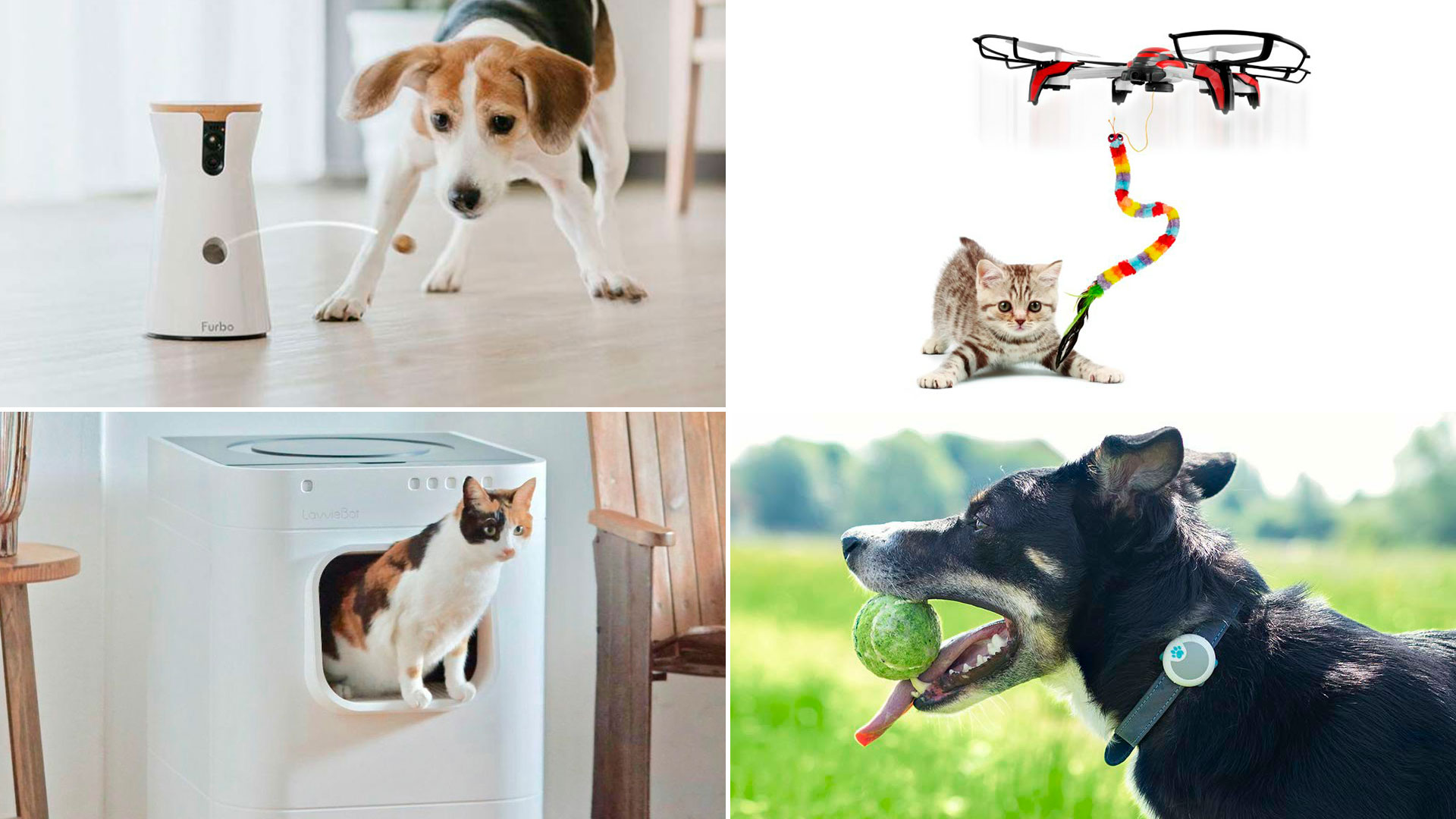 Guia completo de microchips de identificação para pets