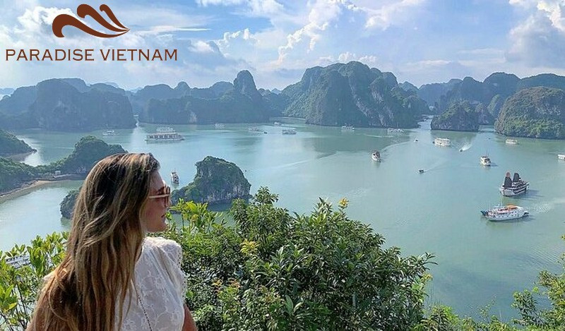 Hotéis no Vietnã: Opções de Luxo e Econômicas