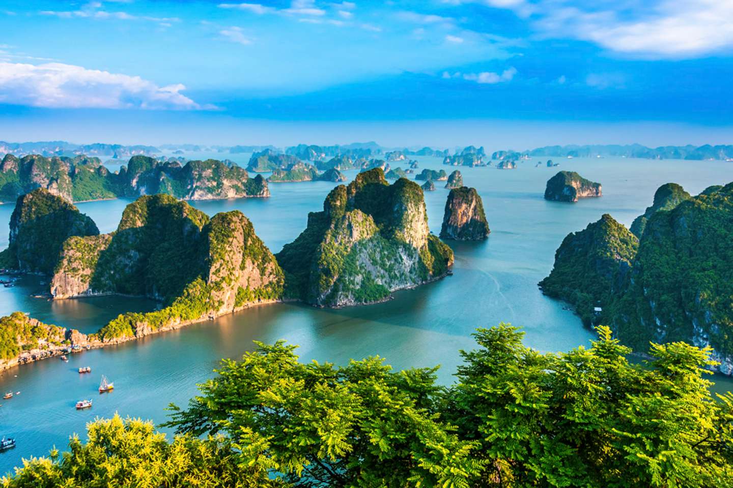 Guia Completo da Comida Vietnamita: Onde Comer e o Que Provar