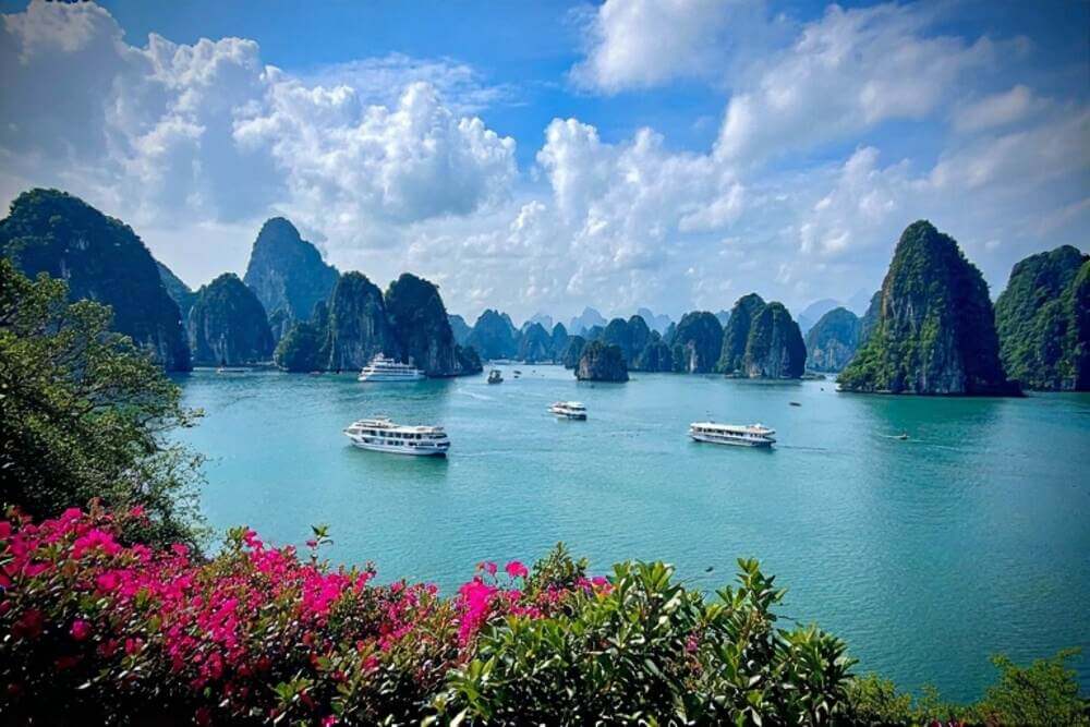 Guia Completo da Comida Vietnamita: Onde Comer e o Que Provar