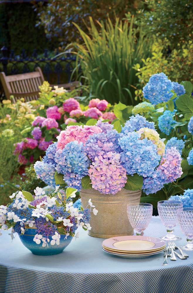 O significado místico da Flor de Lótus