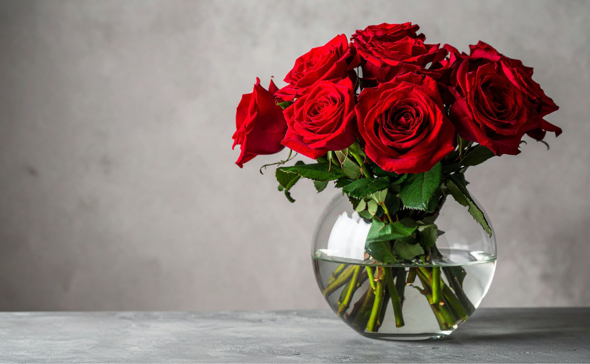 As flores mais raras do mundo e seus segredos