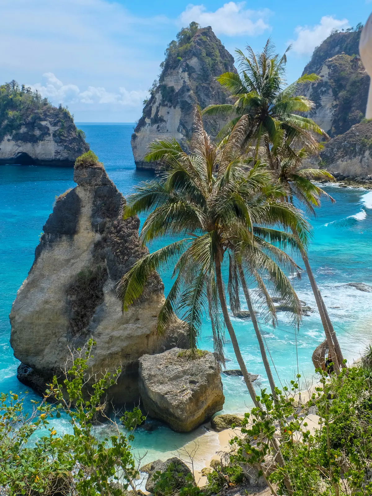 Passo a Passo para Preencher a Declaração de Alfândega Eletrônica (e-CD) da Indonésia