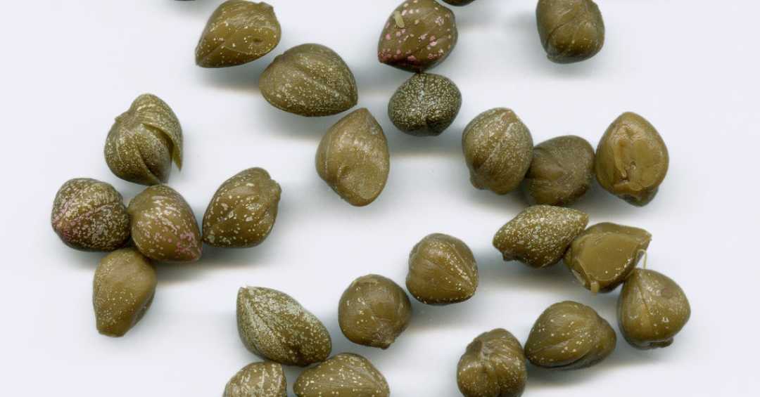 o que são alcaparras