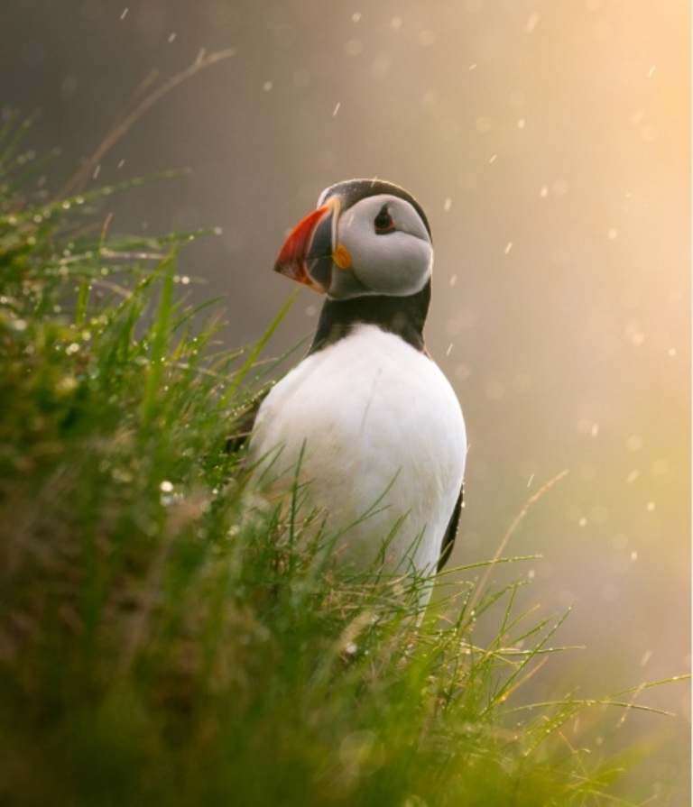 lugares mais bonitos do mundo para visitar