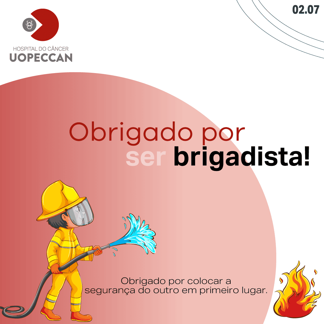 salário de brigadista