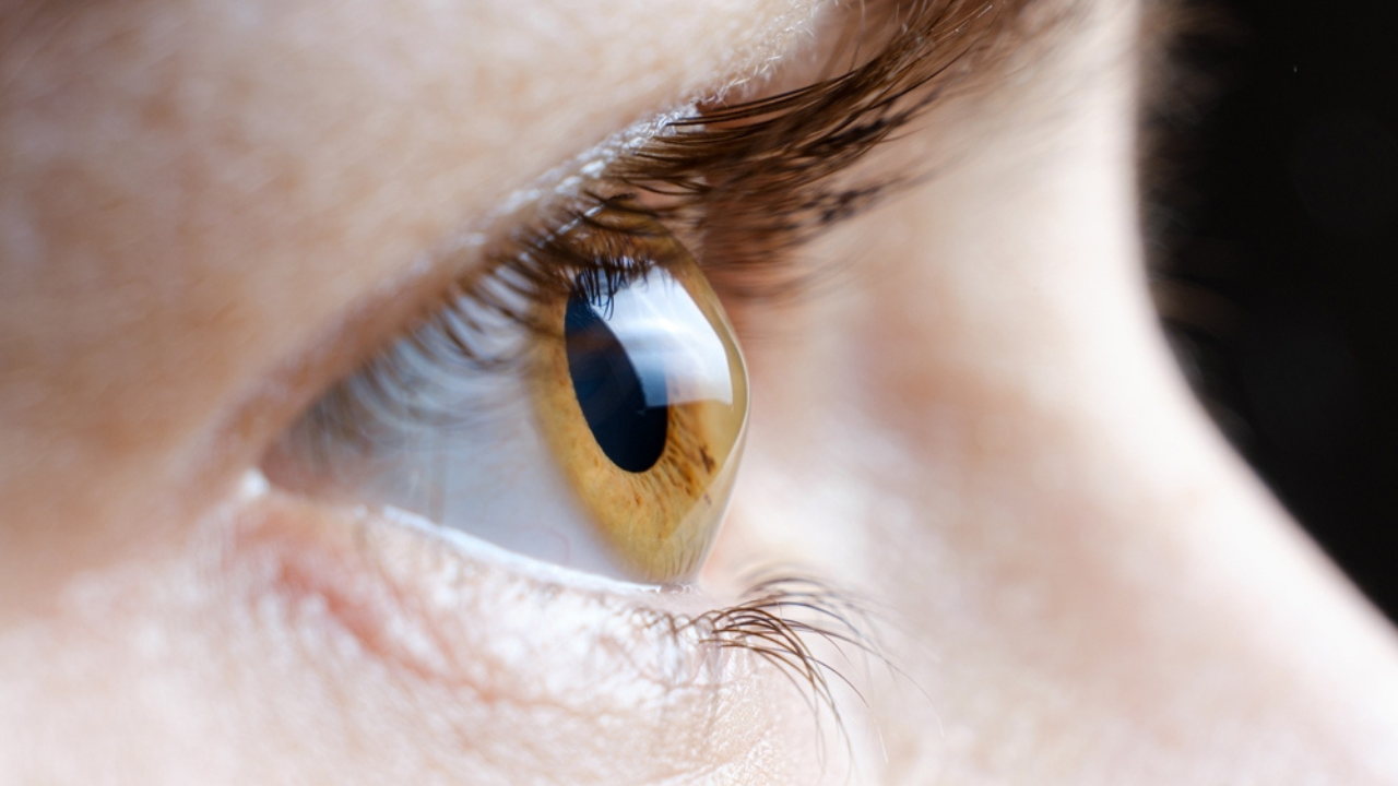 melhores tratamentos para ceratocone em iniciantes