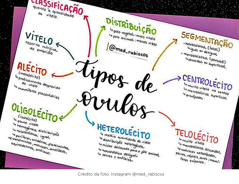 como estudar por flashcards