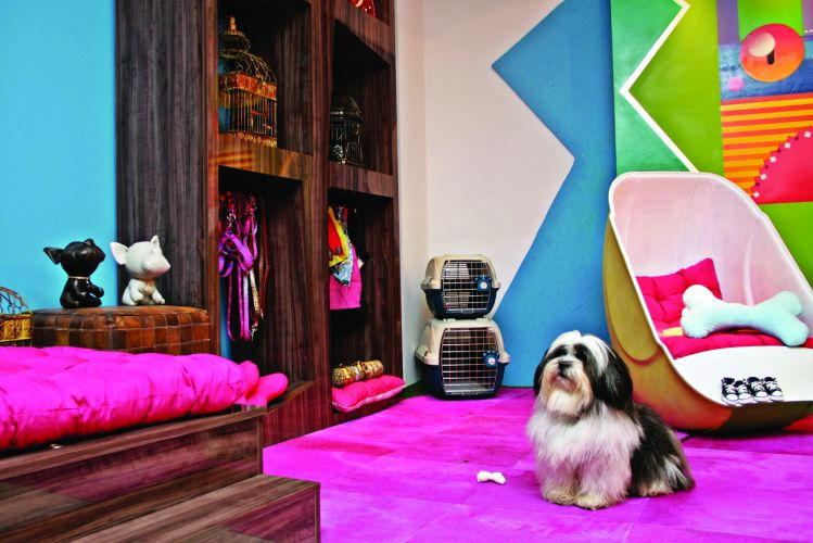 ideias de decoração pet friendly para sala