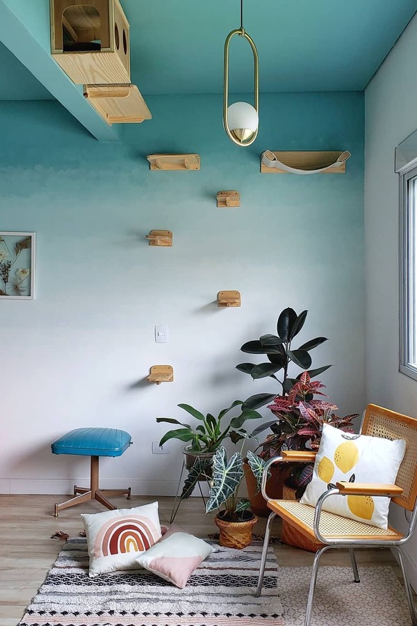 quanto custa decorar um espaço pet friendly