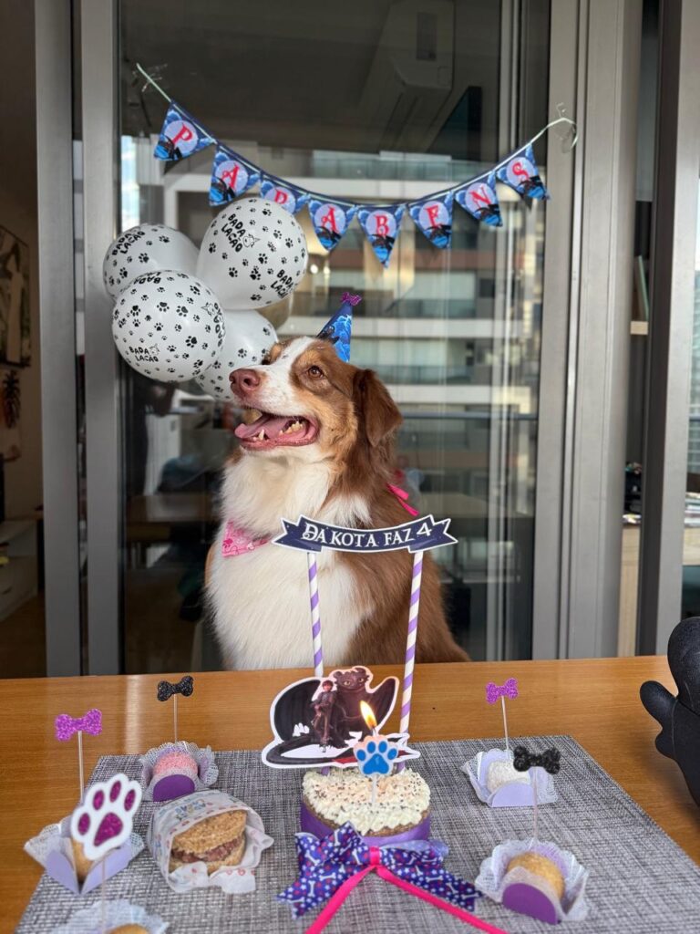 erros comuns ao decorar para cachorros