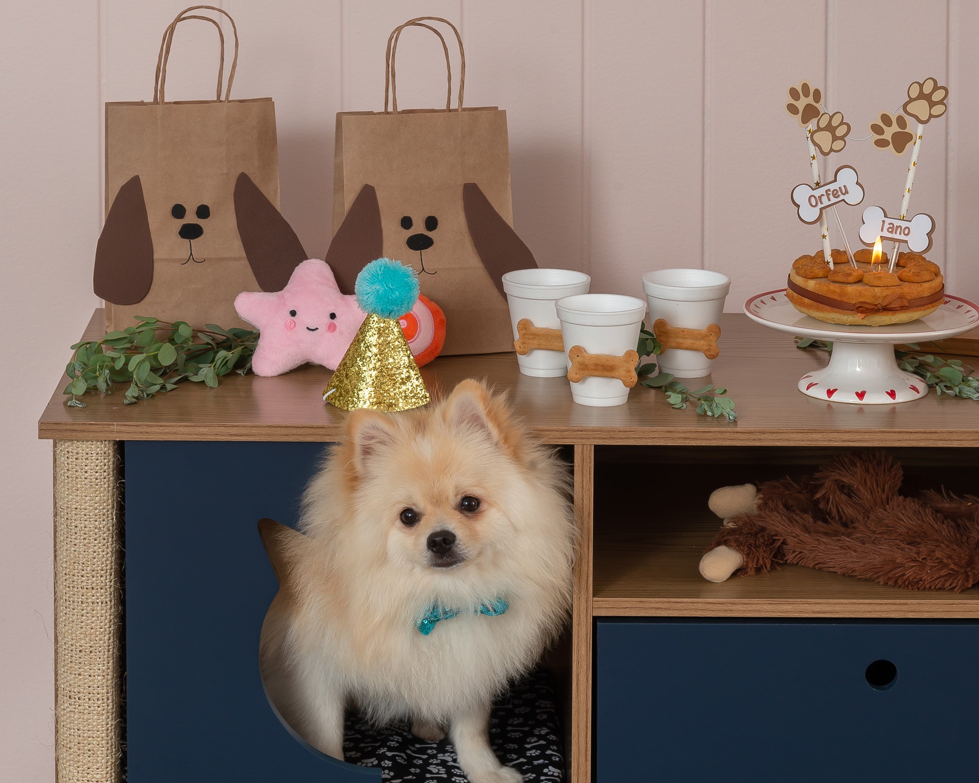 caminha de cachorro vs. nicho embutido qual o melhor