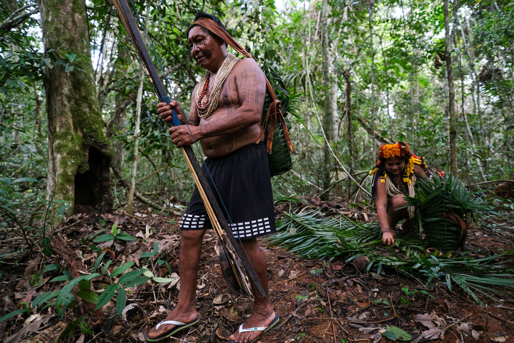 custo de uma expedição fotográfica na amazônia
