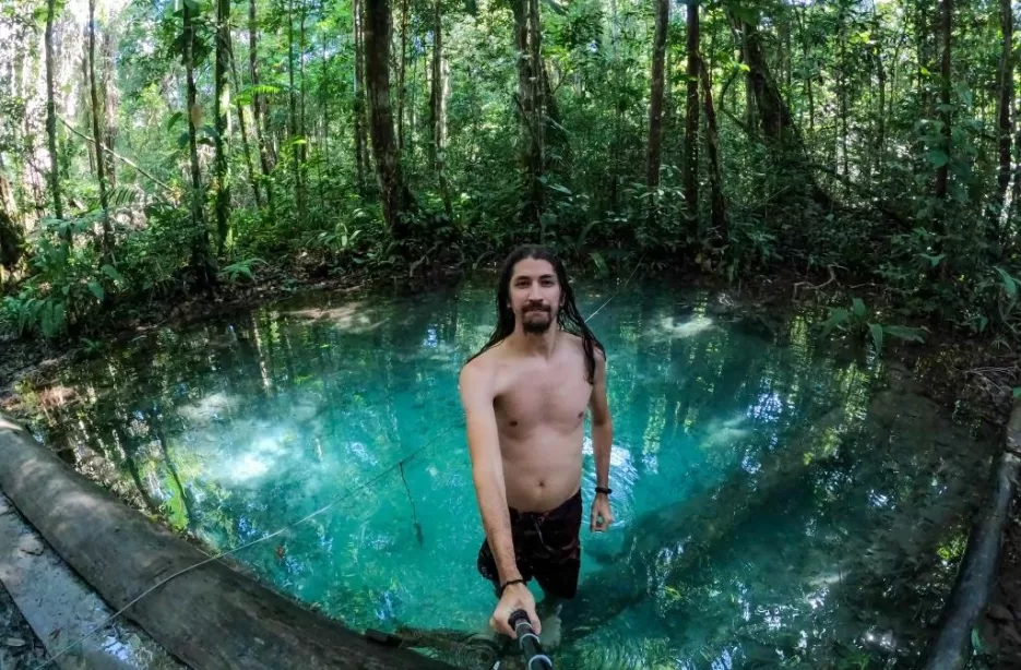 melhores fotos da floresta amazônica para inspiração