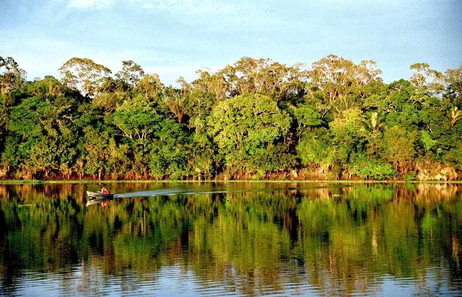 erros comuns ao fotografar a floresta amazônica