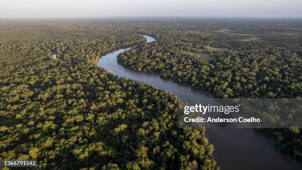 custo de uma expedição fotográfica na amazônia