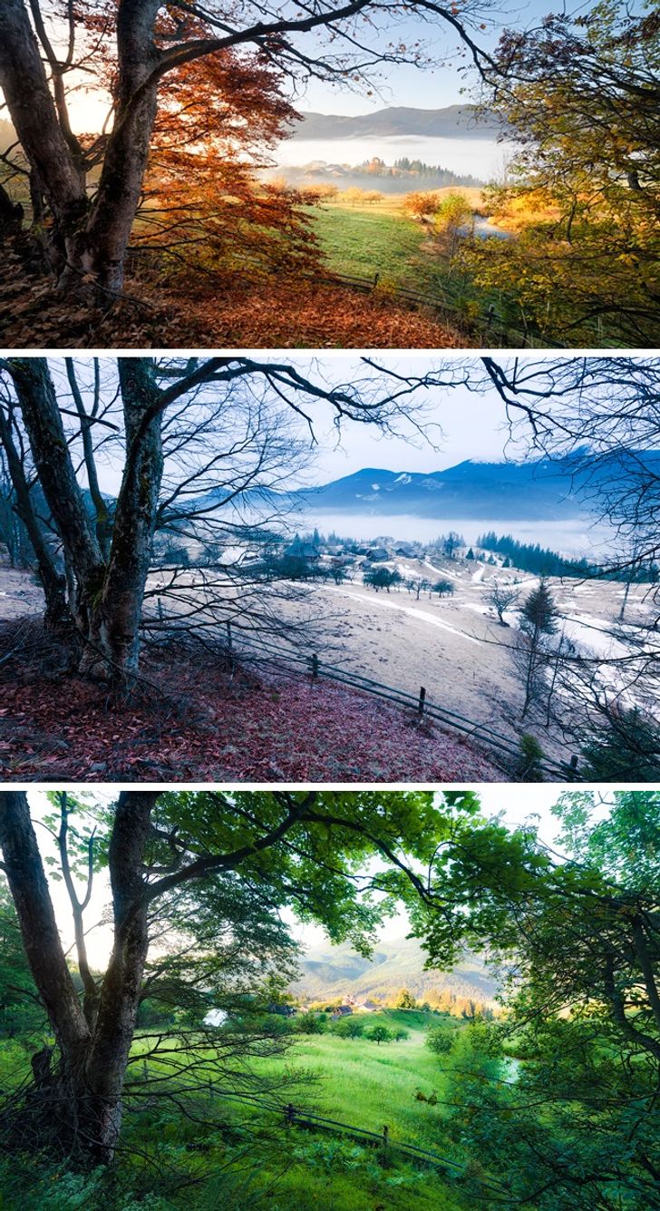 fotografia de paisagem natural vs urbana qual escolher