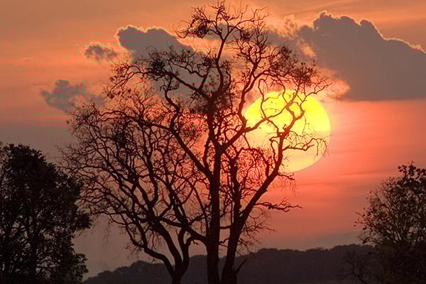 fotografia de paisagem natural vs urbana