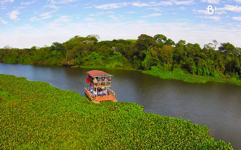 melhores fotos do pantanal para inspirar