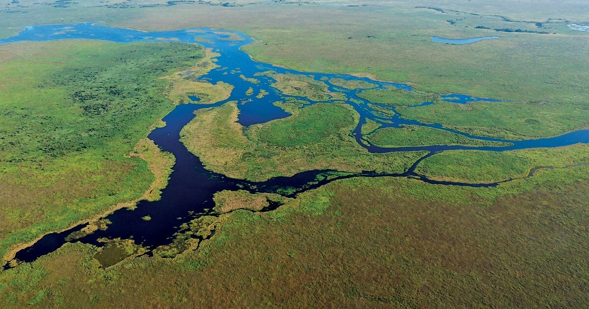 quanto custa uma viagem fotográfica para o pantanal