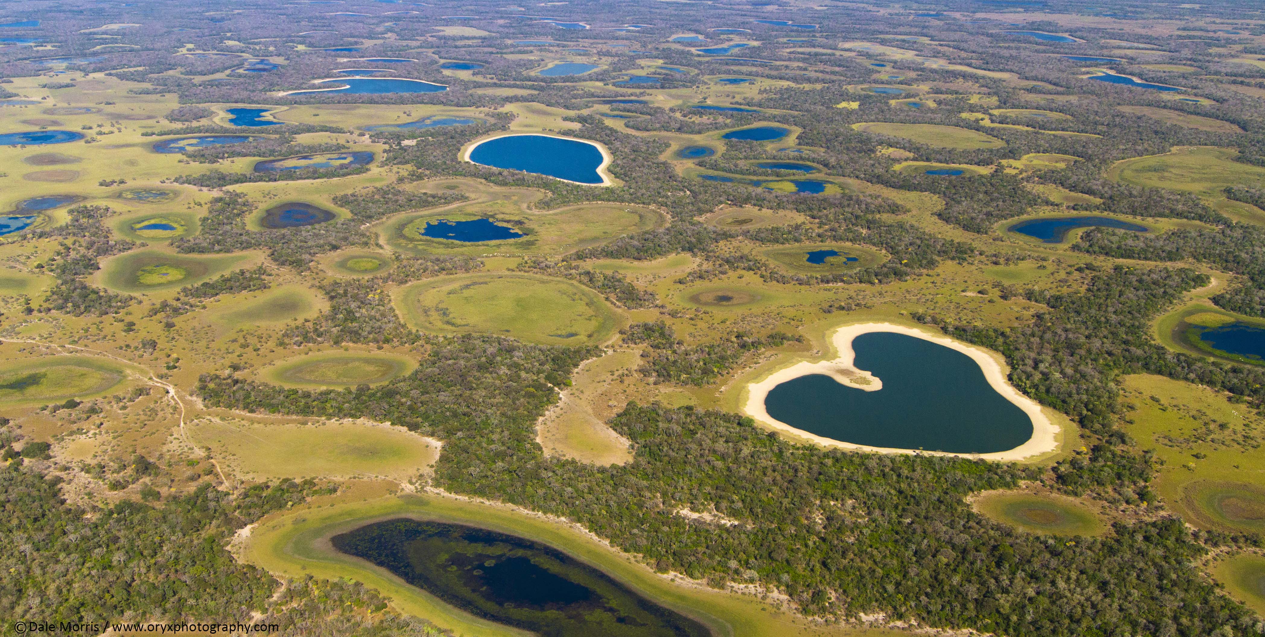 erros comuns ao fotografar no pantanal
