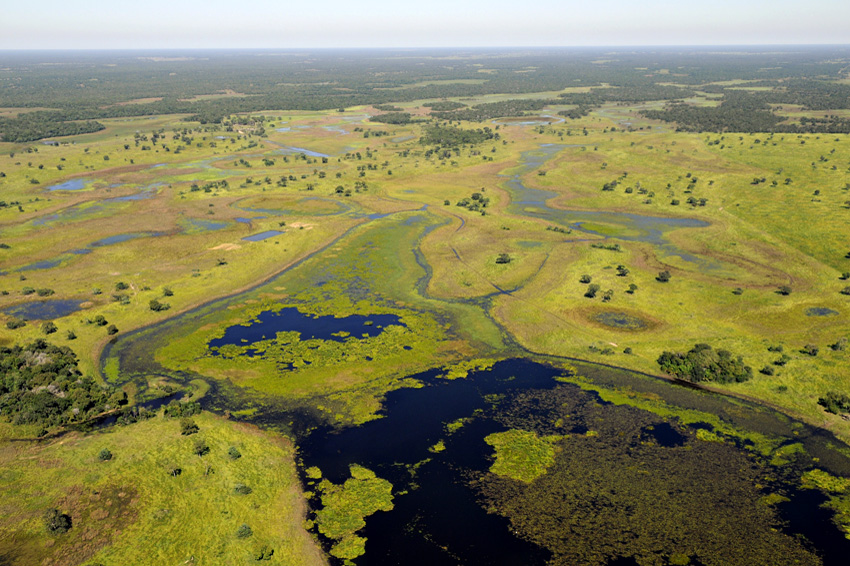 quanto custa uma viagem fotográfica para o pantanal