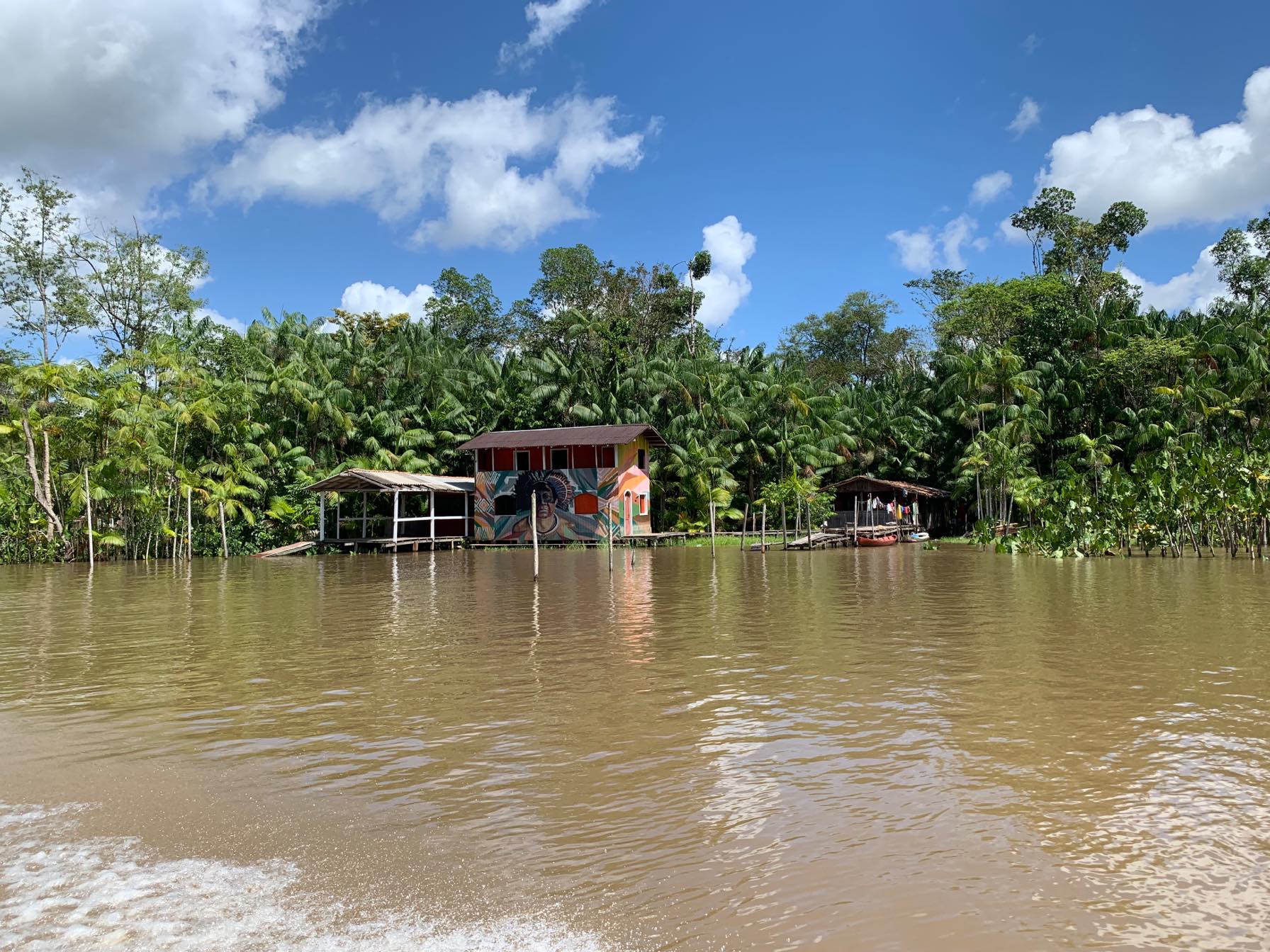 fotos de boto-cor-de-rosa