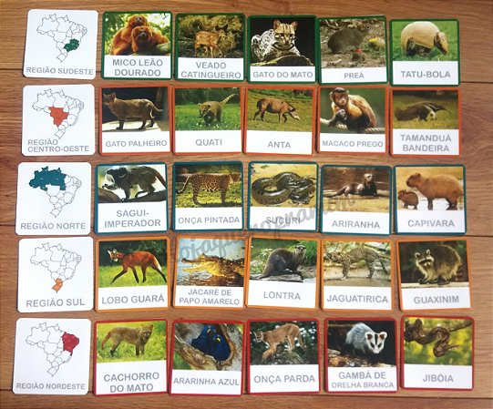 erros comuns ao fotografar animais brasileiros