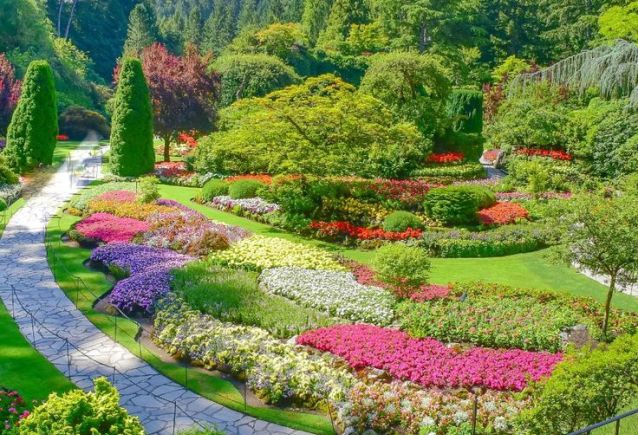 erros comuns ao fotografar jardins floridos