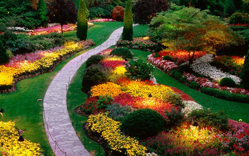 erros comuns ao fotografar jardins floridos