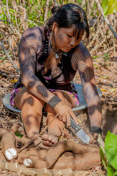 fotos indias xingu vs fotos indias amazonas