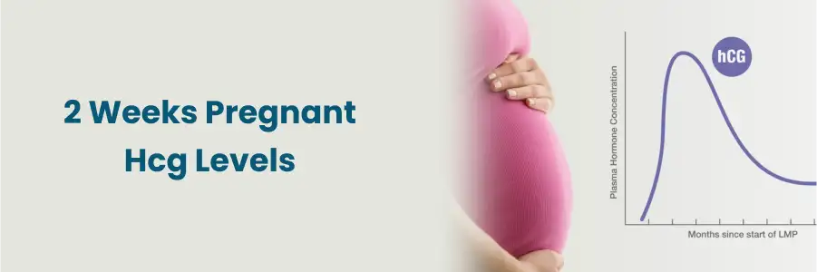 erros comuns no teste de farmácia hcg