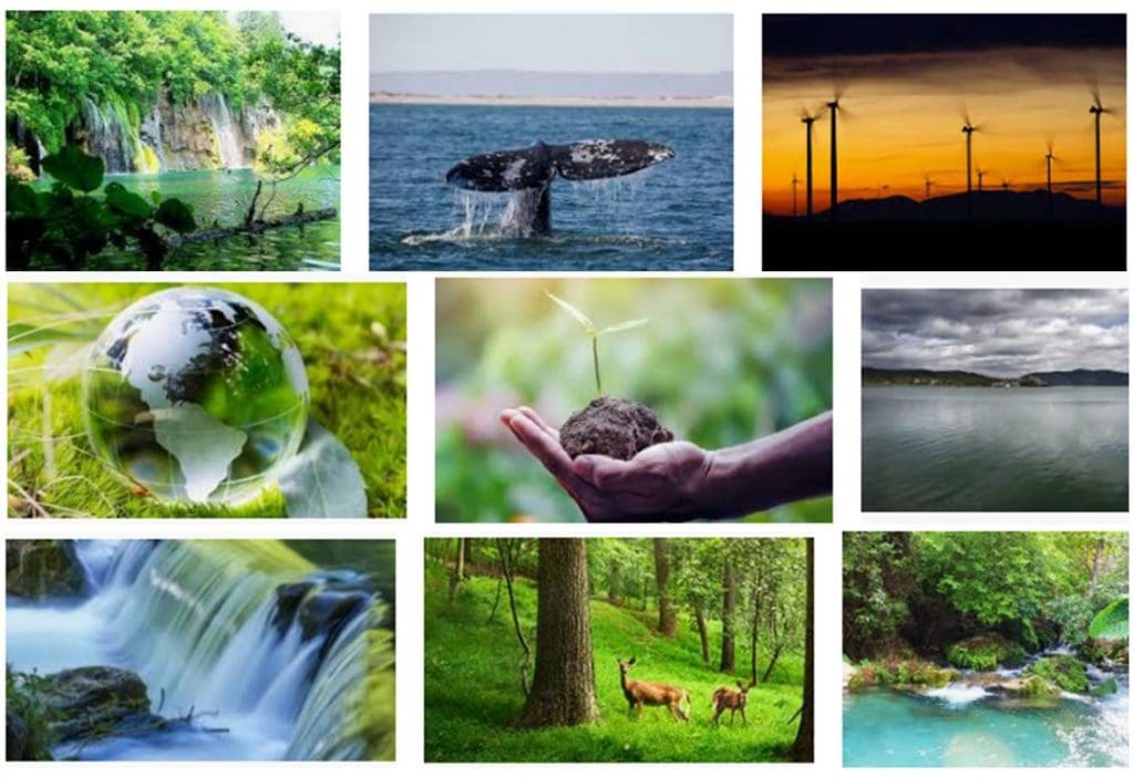 paisagens naturais para design gráfico