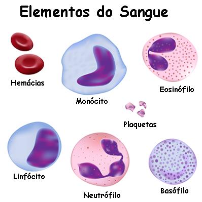 o que causa leucocitose em crianças
