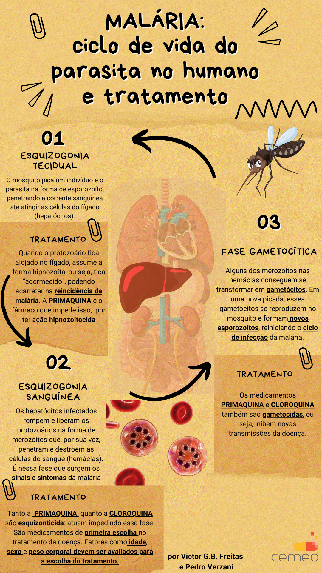 qual o parasita da malária