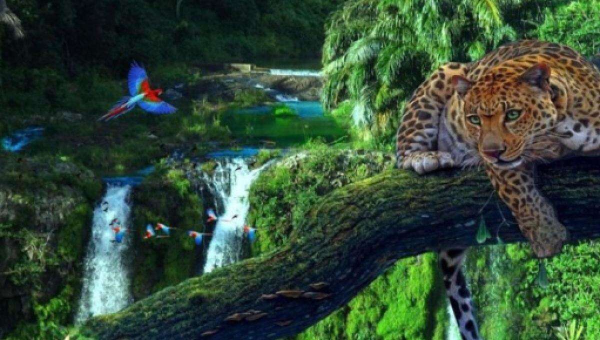 custo médio para conhecer as 7 maravilhas naturais