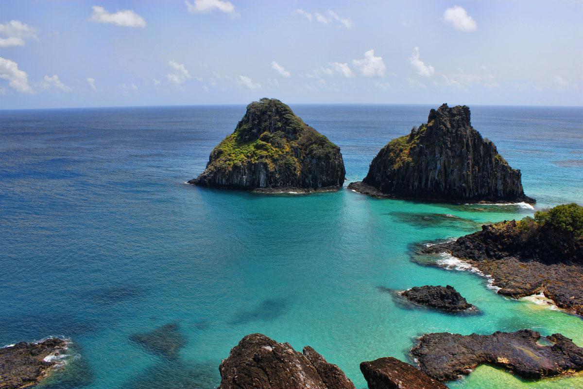como fotografar a floresta amazônica maravilha natural