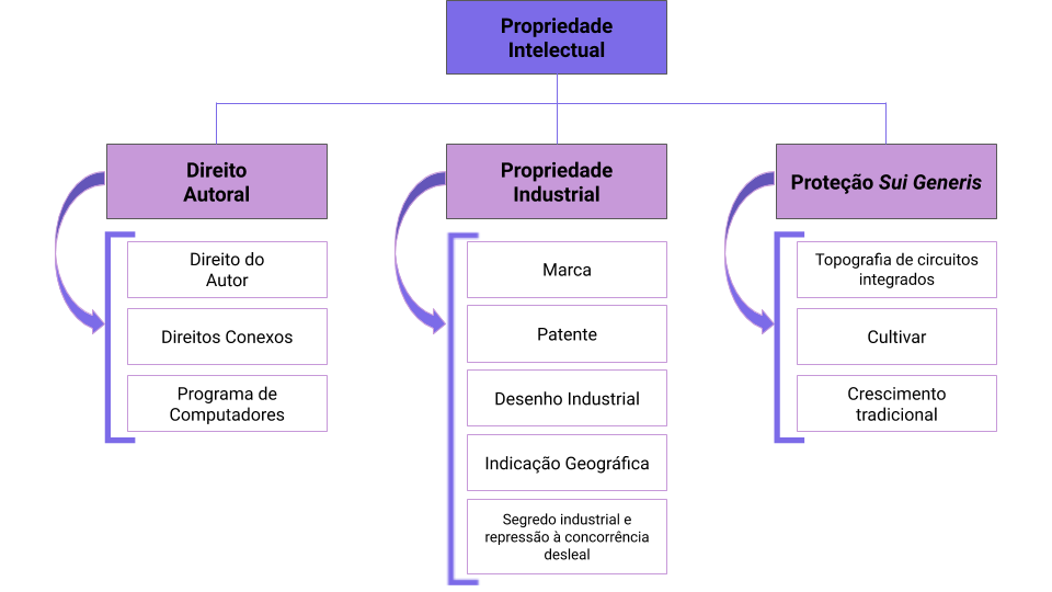 como dividir marca no divórcio