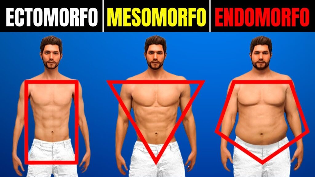 melhores treinos para mesomorfo