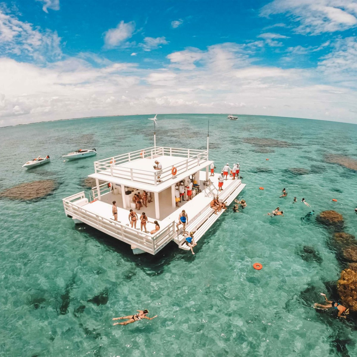 maior cajueiro do mundo pirangi